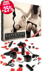 Lovetoy Starter Kit